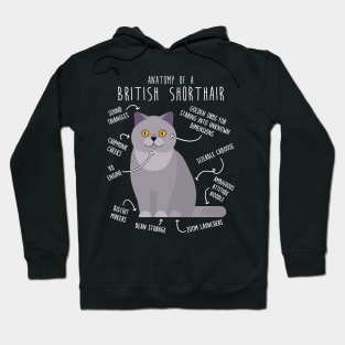 British Shorthair Cat Anatomy Hoodie